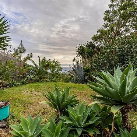 Sophia By Alma Daire