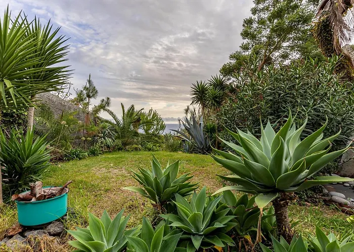 Sophia By Alma Apartment