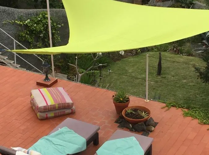 Sophia By Alma Caniço