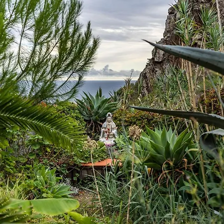 Sophia By Alma Apartman Caniço