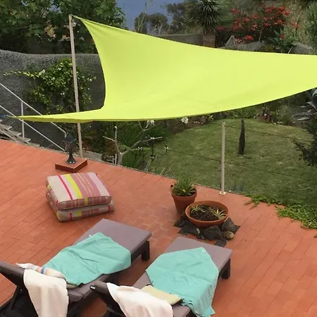 Sophia By Alma Caniço